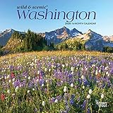 Washington Wild & Scenic 2020 7 x 7 Inch Monthly Mini Wall Calendar, USA United States of America Pacific West State Nature (English, French and Spanish Edition) by