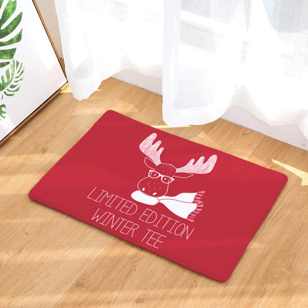 LGRONG Washable, wearresistant interior door mat, Christmas strip