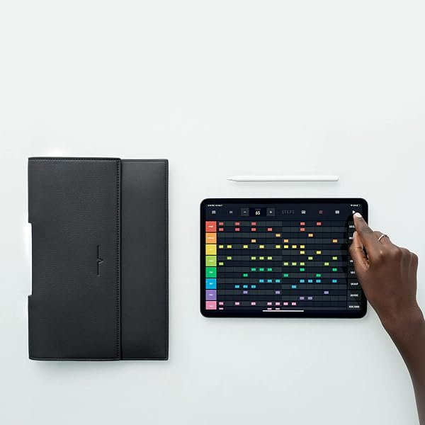 THE IPAD PORTFOLIO 11-INCH