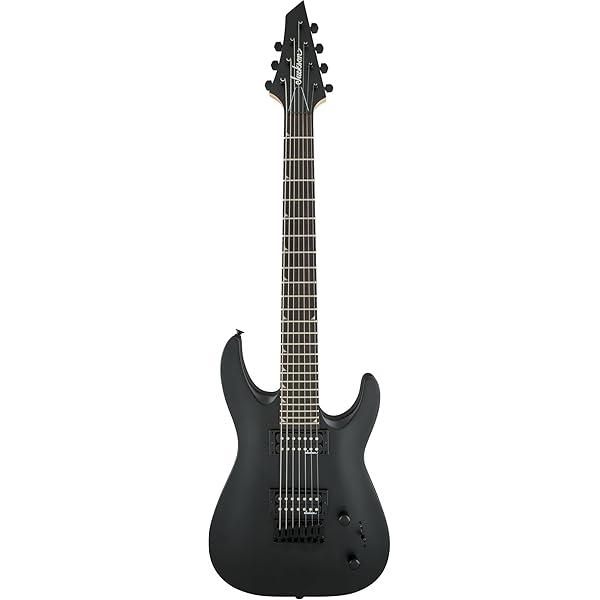 Amazon.com - Jackson Dinky/Soloist 6/7-string Economy Case