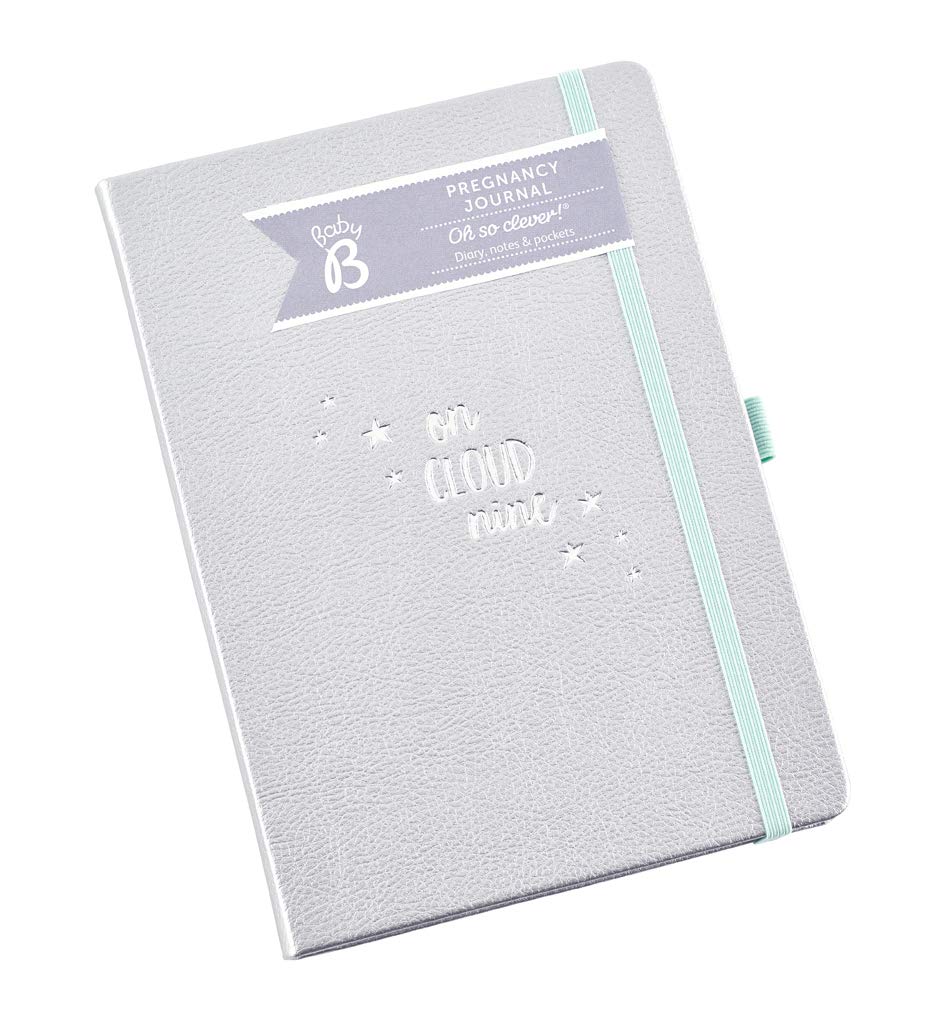 Baby B Pregnancy Journal from 4 weeks - Silver