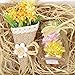 Natural Raffia Grass Bundle Dry Straw Paper Gift Wrap Candy Box Wedding Party Decor Invitation Gift Card Packing Rope Flower Wraping Rustic Decor DIY Crafts Supplies (4 Rolls)