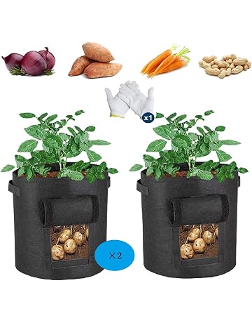 Bolsas para plantas | Amazon.es