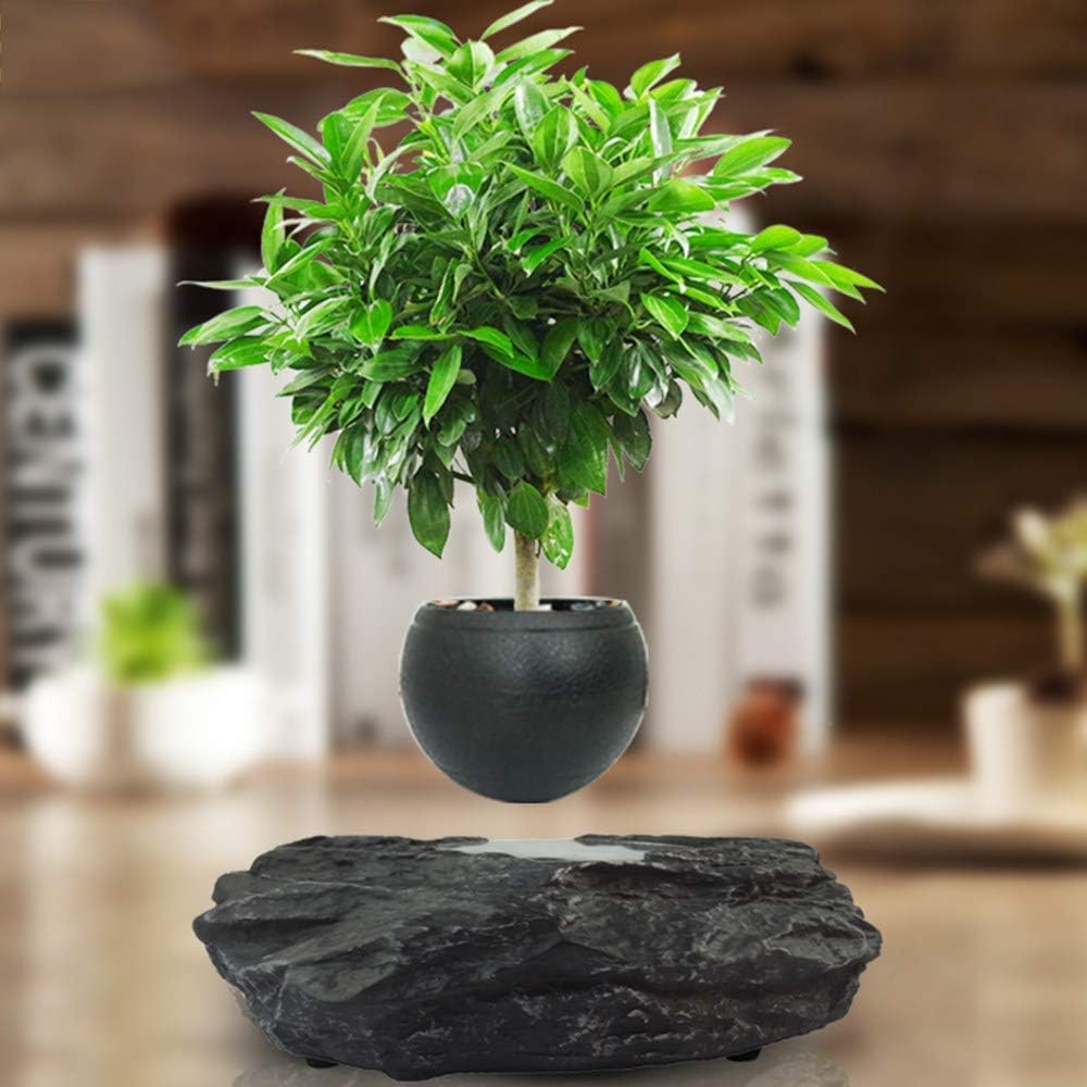 Portable Levitating Potted Floating Pot Air Bonsai Magnetic Suspension Levitating Flower Plant - Creative Design Levitation Bonsai - Home Office Decorations - Fun Gift