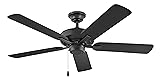 Hinkley Metro 52" Indoor/Outdoor Dual Mount Ceiling