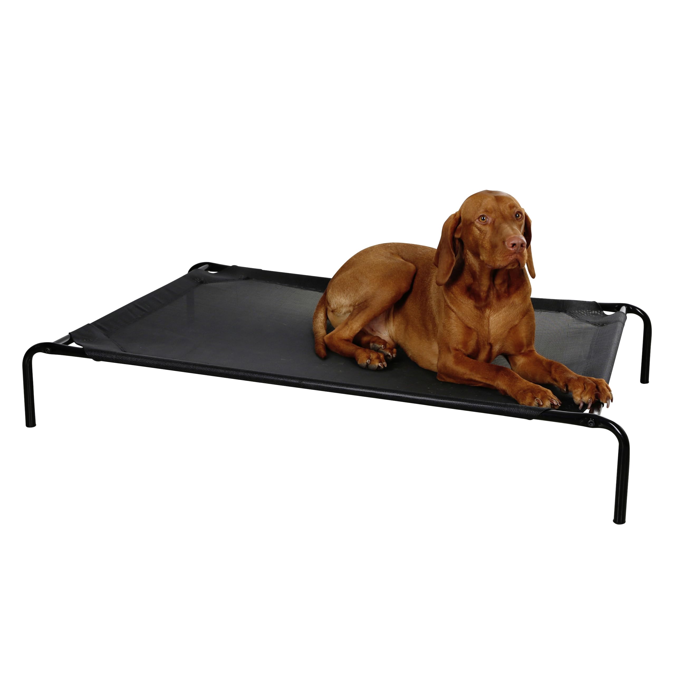 Vacation Dog Lounger, Black, 130 x 80 x 20 cm