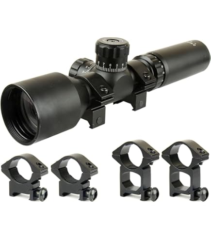 Amazon.com : BSA 2x20 Pistol Scope, Duplex Reticle : Airsoft