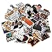 60pcs Friends tv Show Creative DIY Stickers Funny Decorative Cartoon for Cartoon PC Luggage Computer Notebook Phone Home Wall Garden Window Snowboard