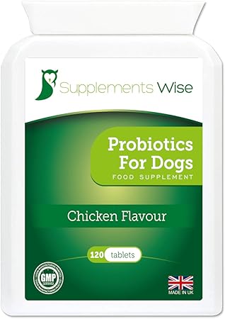 best probiotic for dog yeast infection uk