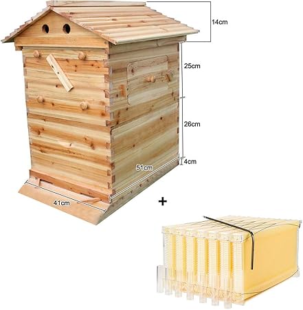 Z@SS - Cajas de Madera para Colmena de Abejas, 7 Unidades: Amazon.es: Hogar