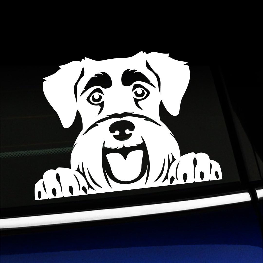 Artistic Reflection Peeking Schnauzer - Vinyl Decal - Choose Color - [White]