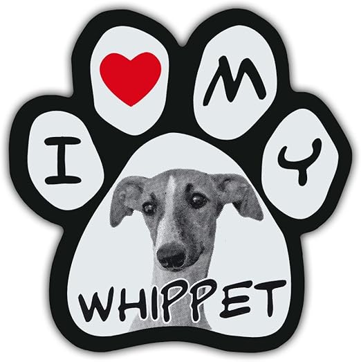 i love my whippet