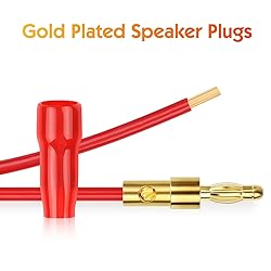 Diospyros 4 mm Gold Plated Open Screw Type Speaker