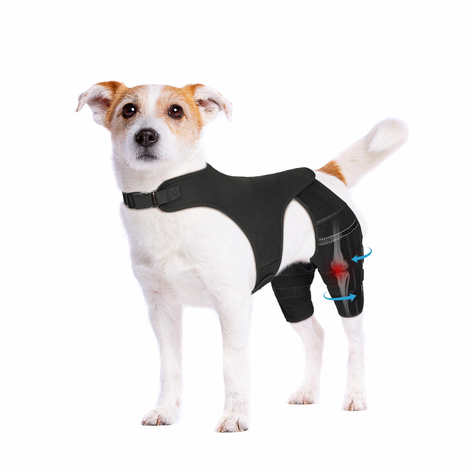Photo 1 of Pawfun Dog Knee Brace for Torn ACL Hind Leg, Adjustable Dog Leg Braces for Back Leg with 4 Metal Stabilizers Helps with Torn CCL, Luxating Patella, Ligament Injuries, Hip Dysplasia,S