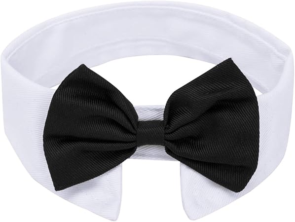black bow tie for dogs