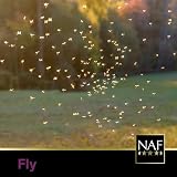 NAF Off Citronella Gel 750 g Natural Insect Repellent for Horses view 5