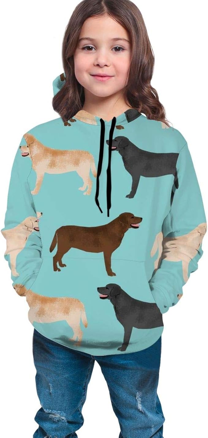 chocolate lab hoodies