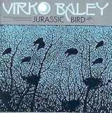 JURASSIC BIRD                                      image