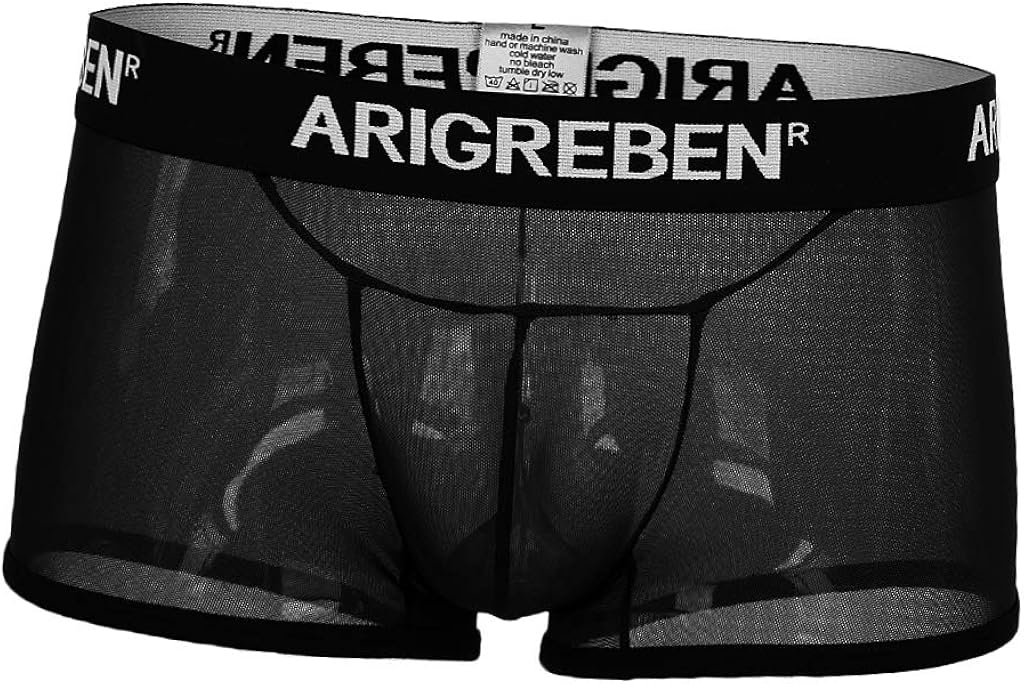 Baoblaze Sexy Mens Sheer Mesh Boxers Briefs Stretch See Through Panties
