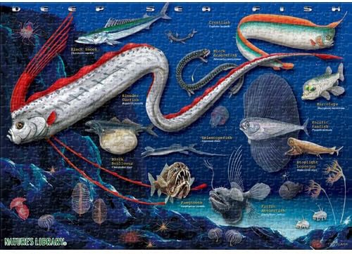 Amazon 深海魚 リアルジグソーパズル A3サイズ 7ピース ジグソーパズル おもちゃ