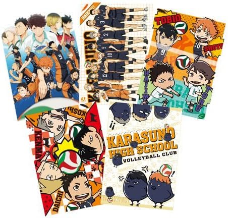 Haikyuu!! Greeting Cards Postcards Shoyo Hinata Tobio Kageyama Asahi Azumane Yu Nishinoya Hinagarasu