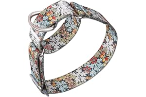 Pimaodog Heavy Duty Nylon Dog Collar, Adjustable Martingale Dog Collar for Walking Training Boy and Girl Dogs Medium Large Dogs (XL:53-62CM, Green)