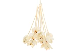 JOINPAYA 10pcs Orchid Scented Reed Diffuser Sticks Natural Oil Diffuser Reeds for Home Aromatherapy