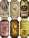 Potion Bottle Sticker Labels Voodoo New Orleans Halloween Wine Mardi Gras 6 bottle label stickers apothecary labels