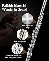 Eastar EFL-1 Closed Hole Flute 16 Keys Beginner Kit with Case Stand Cleaning view 3