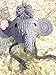 Ximkee Cute Newborn Baby Boy Girl Infant Crochet Elephant Costume Photo Photography Props 0-6 months