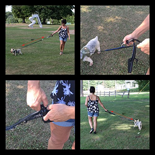 Pet Fit For Life Premium Hands Free Dog Leash For Running or Walking - All Purpose Dog Leash Bonus Soft Foam Rubber Handle - Reflective Dog Leash - Medium to Large Dogs (Renewed)