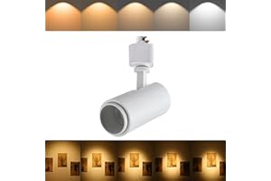 Ajbvp 5CCT LED Track Lighting Heads 12W Dimmable,Zoomable Beam15°/24°/36°/45°/60°,2700K/3000K/3500K/4000K/5000K,Single Circuit H Track Lighting Heads Ceiling Fixtures Art Lighting (5CCT-White)