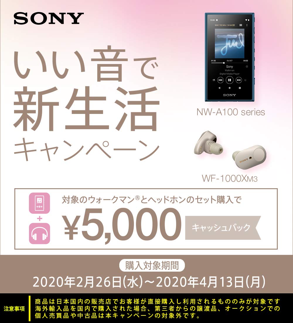 ソニー SONY ワイヤレスノイズキャンセリングヘッドホン WH-1000XM3 S : LDAC/Bluetooth/ハイレゾ プラチナシルバー