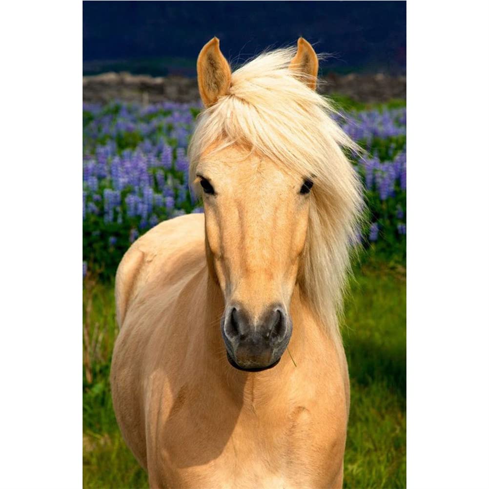 Diamond Painting Kits with Tools, Meecaa Horse Animal DIY 5D Full Drill Cross Stitch Diamond Mosaic Art Crafts 30x40cm (Horse)
