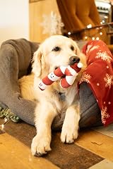 Petface Candy the Christmas Cane Plush Dog Toy with Built-In Squeaker view 3