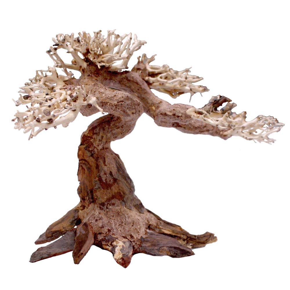 Amtra - Oriental Wind 5 wood, handmade, for aquarium, 25x10x18 CM