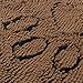 PUPTECK Super Absorbent Dog Doormat - Non Skid Microfiber Pet Door Runner Mat Brown XL