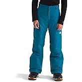 THE NORTH FACE Boys Freedom Insulated Pant | Waterproof for Ski & Snowboard, Gaiters, Adjustable Waist, Zip Pockets