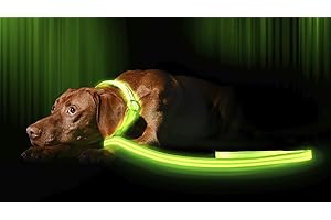 Illumiseen LED Light Up Dog Leash | Ultra High Visibility Up to 350 Yards | 3 Lighting Modes | USB Rechargeable, No Batteries Needed | Padded Handle & Rotating Swivel Clasp to Prevent Leash Tangling