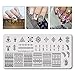 BEAUTYBIGBANG Nail Stamping Plates Stamper Scraper Kit Sets - 5pcs Nail Art Stamp Templates Image Plate with 1 Stamper and 1 Scraper Nail Art Tools