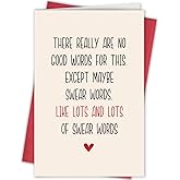 Bablira Funny Encourage Cancer Card for Friend, Humor Cancer Card, Sympathy Card, Hilarious Chemo Card, Encouragement Card, Only Swear Words Card