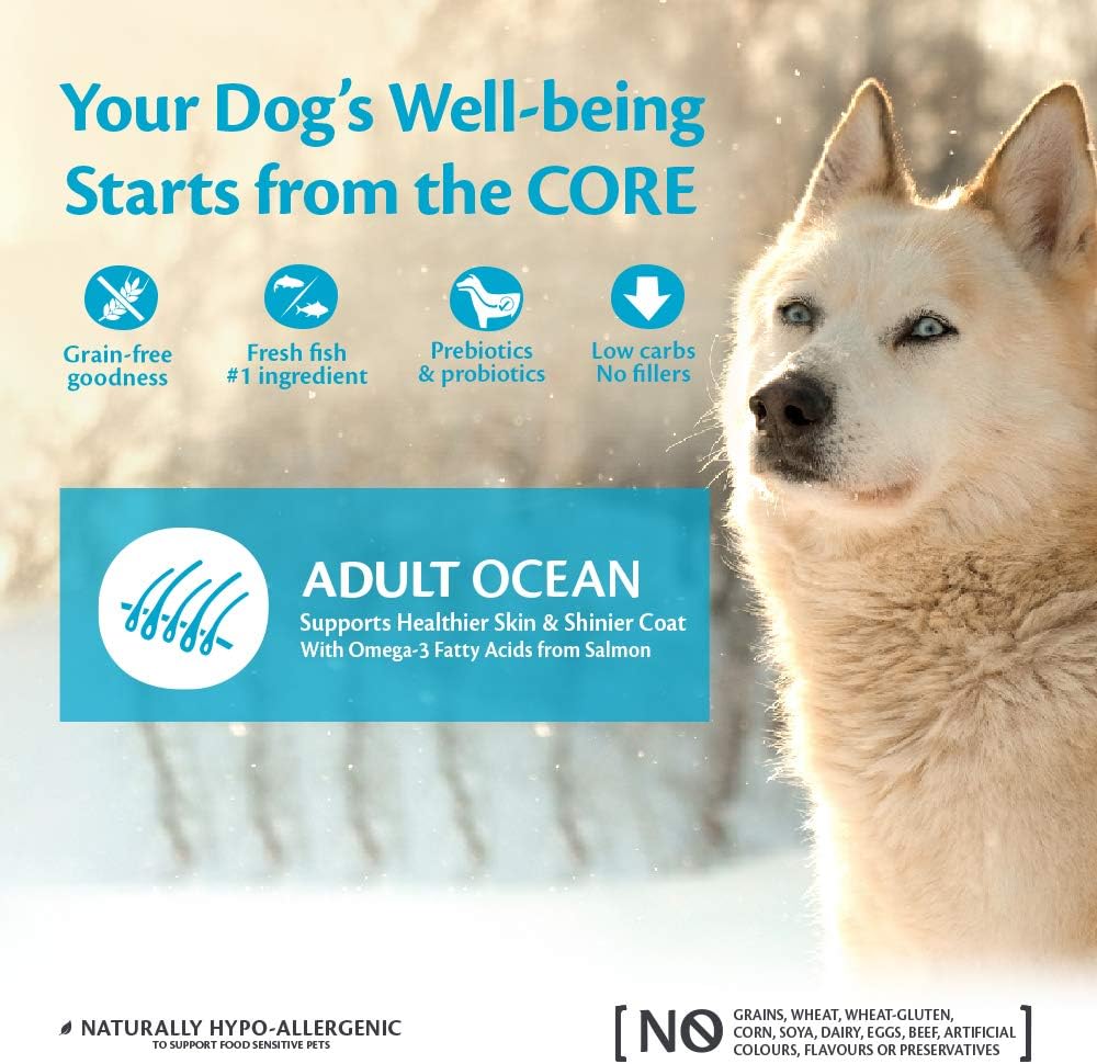 Wellness CORE Ocean 10 kg, Salmon & Tuna, Dry Dog Food for Medium to Large Breeds Grain-Free, Natural, Hypoallergenic - Image 5