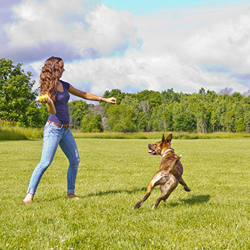 Hyper Pet Squawker Jack Dog Toy, Medium, Green/White