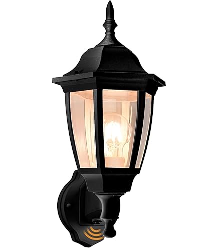Hampton Bay Lighting 14.5 in. Black Dusk to Dawn Decorative