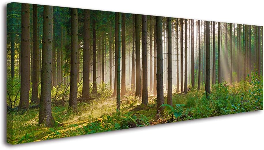 Forest Wall Art for Living Room, SZ Panoramic Spring Morning Sunrise Picture Canvas Prints, Fantastic Decor of Sunshine Peeking Through Rainforest (1" Thick, Waterproof, Bracket Mounted Ready to Hang)