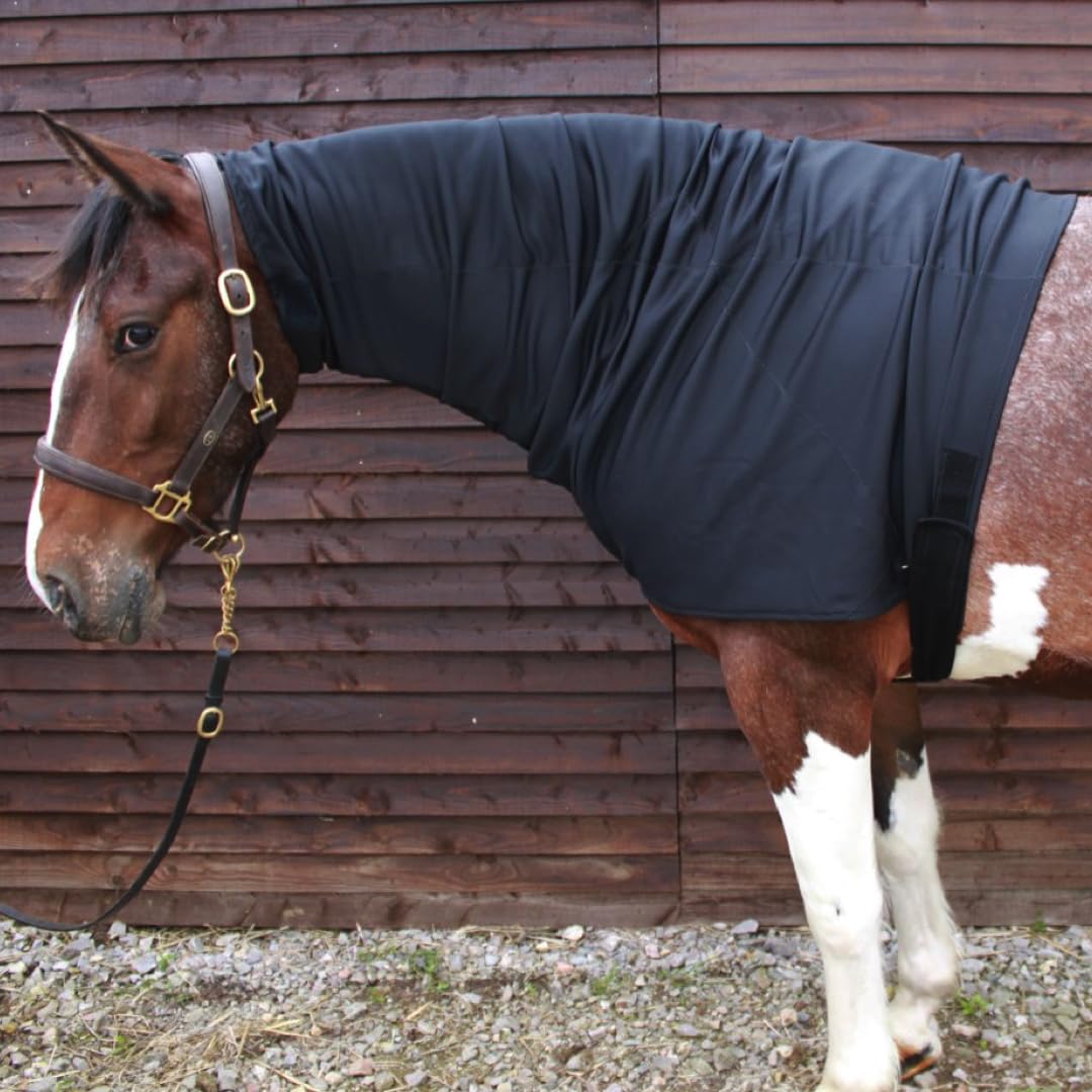 Snuggy Hoods Weatherproof Headless Turn Out Hood for Horse or Pony (Navy, XS)