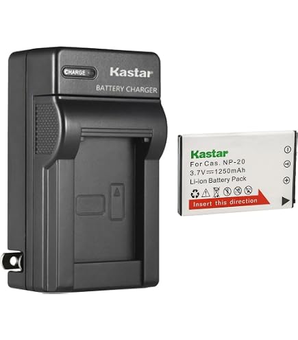 Batterie CASIO NP-20 Compatible - Pour Appareils Photo Exilim EX-M1, EX-S1, EX-S20, Etc. - 700mAh, 3.7V