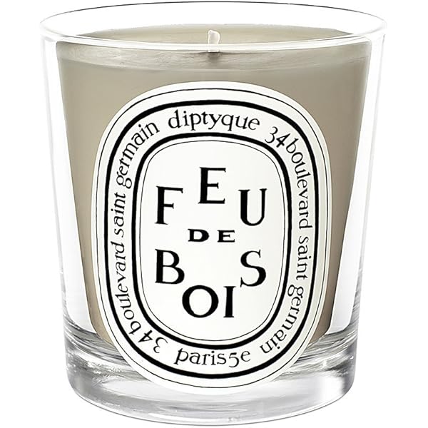 Diptyque Feu de Bois Candle, 6.5 oz. : Amazon.ca: Home