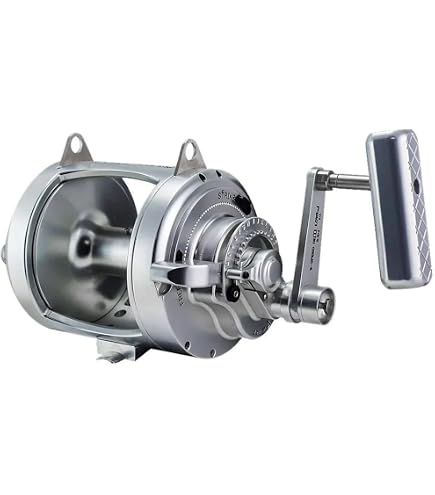 Amazon.com: Accurate ATD Platinum Saltwater Fishing Reel