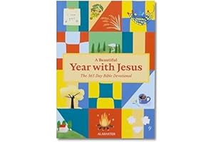 365 Days of Bible Summary, A Beautiful Year with Jesus, 5 Minutes of God Conversation Every Day